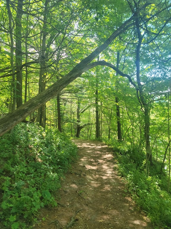 Backbone State Park