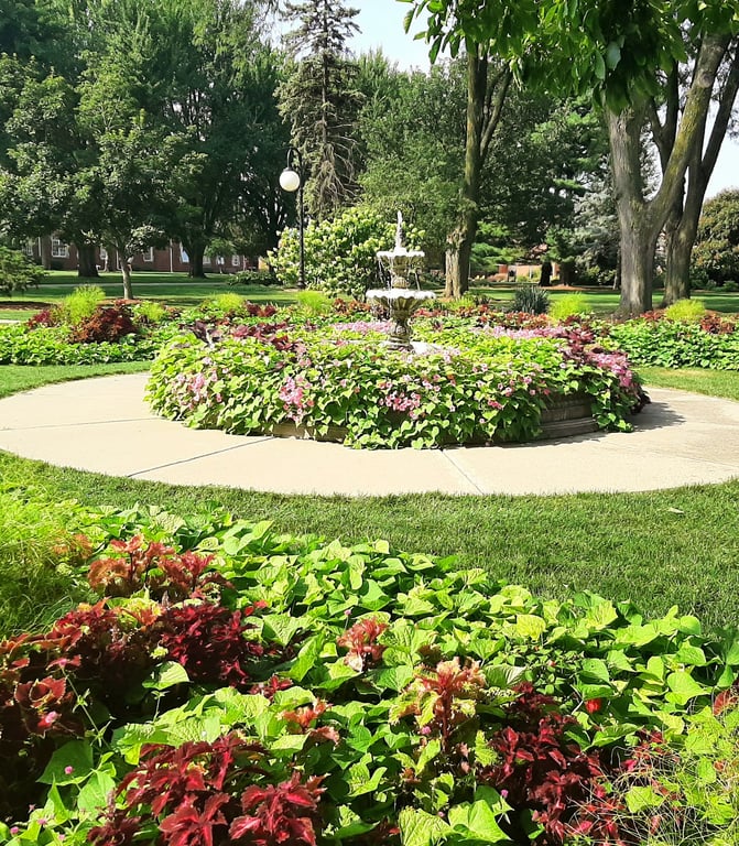 Buxton Park Arboretum