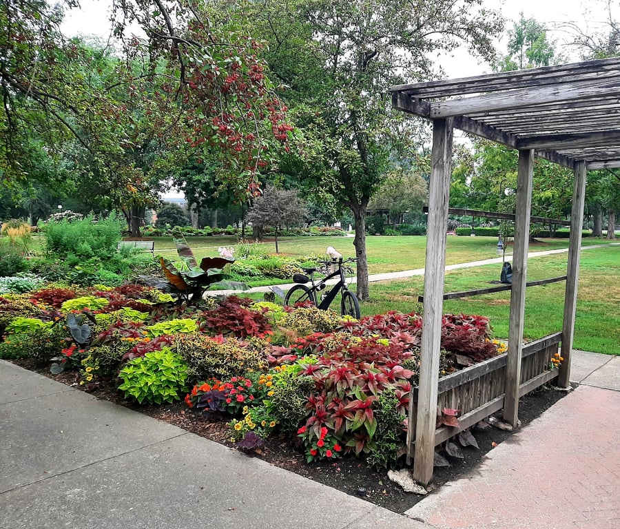 Buxton Park Arboretum