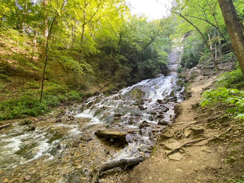 Dunning's Spring Park
