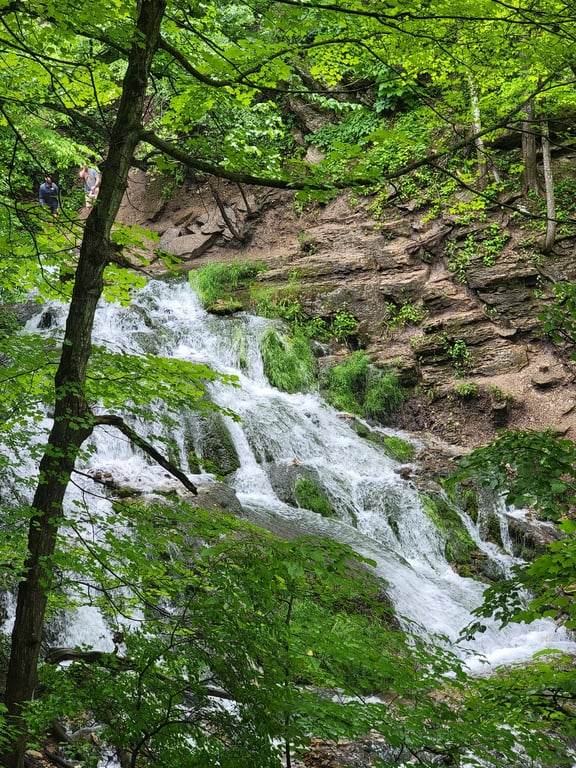 Dunning's Spring Park
