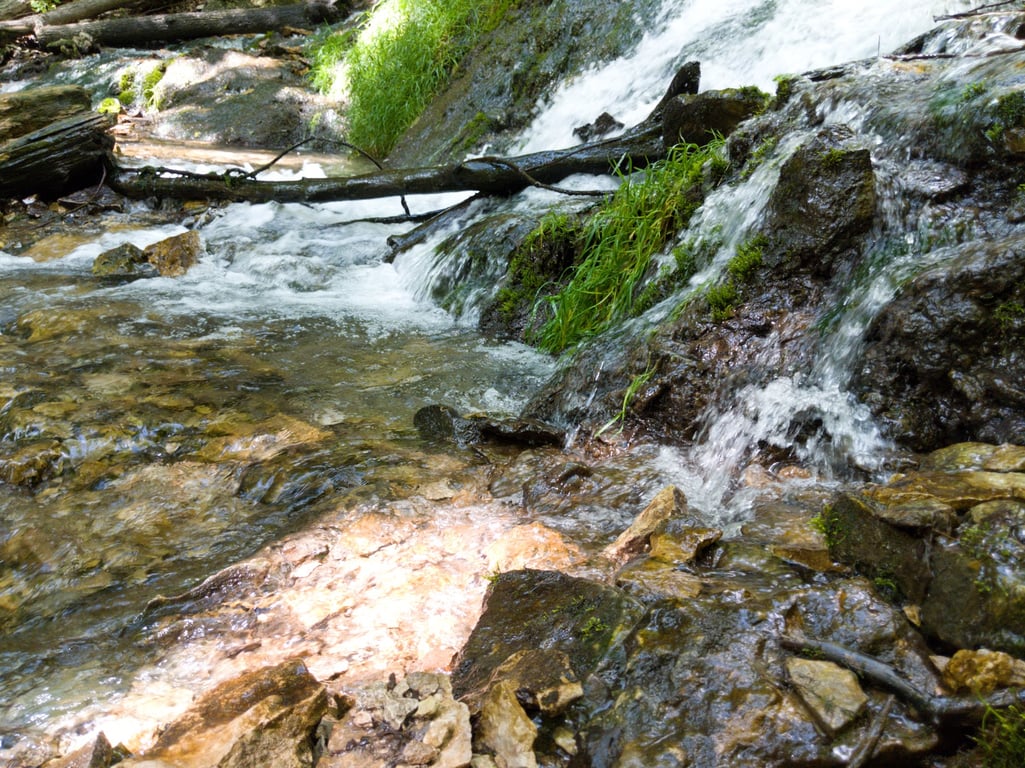 Dunning's Spring Park