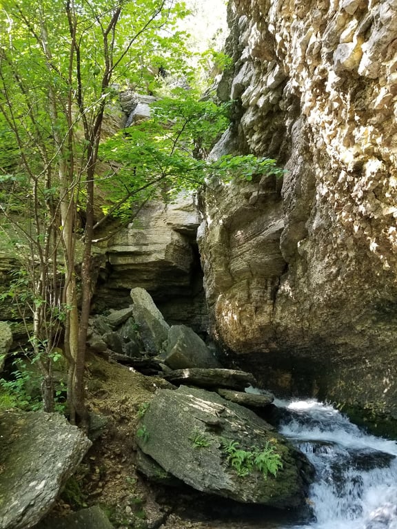 Dunning's Spring Park