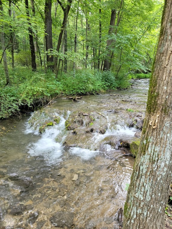 Dunning's Spring Park