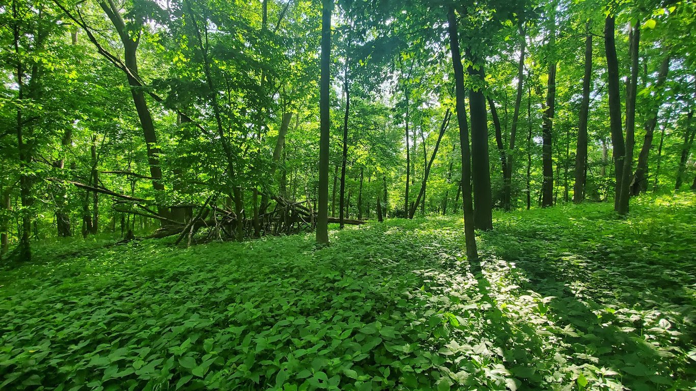 Indian Creek Nature Center