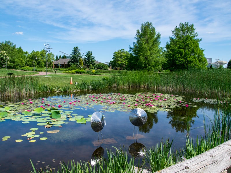 Reiman Gardens