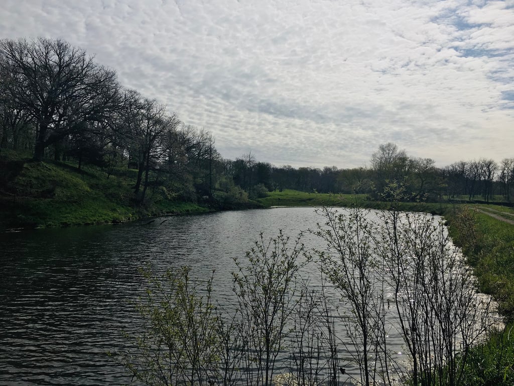 Whiterock Conservancy