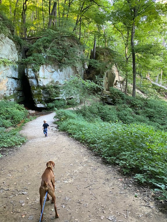 Wildcat Den State Park