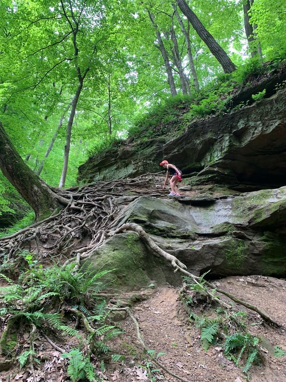 Wildcat Den State Park