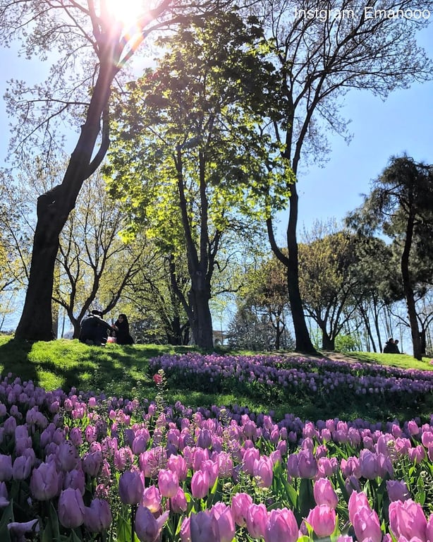 Gülhane Parkı
