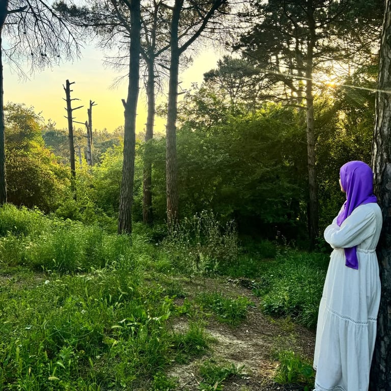 Şamlar Tabiat Parkı