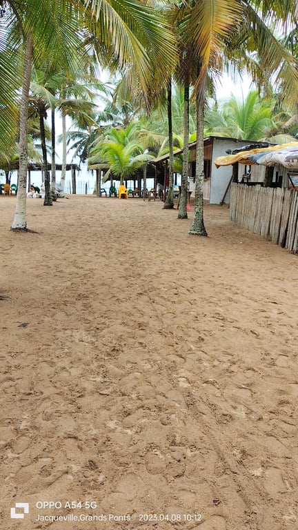 Jacqueville Beaches
