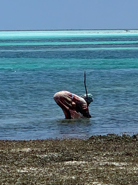 Jambiani Beach