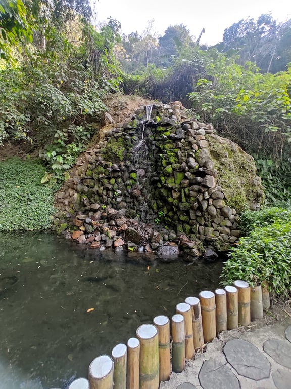 Jardín Botánico Plan de la Laguna