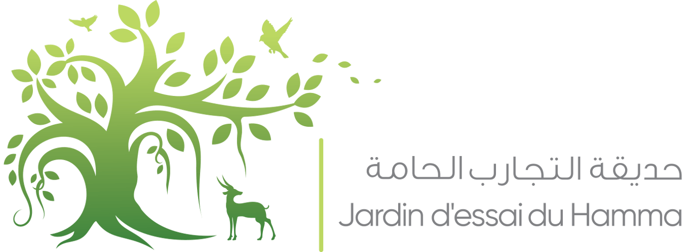 Jardin d’Essai du Hamma