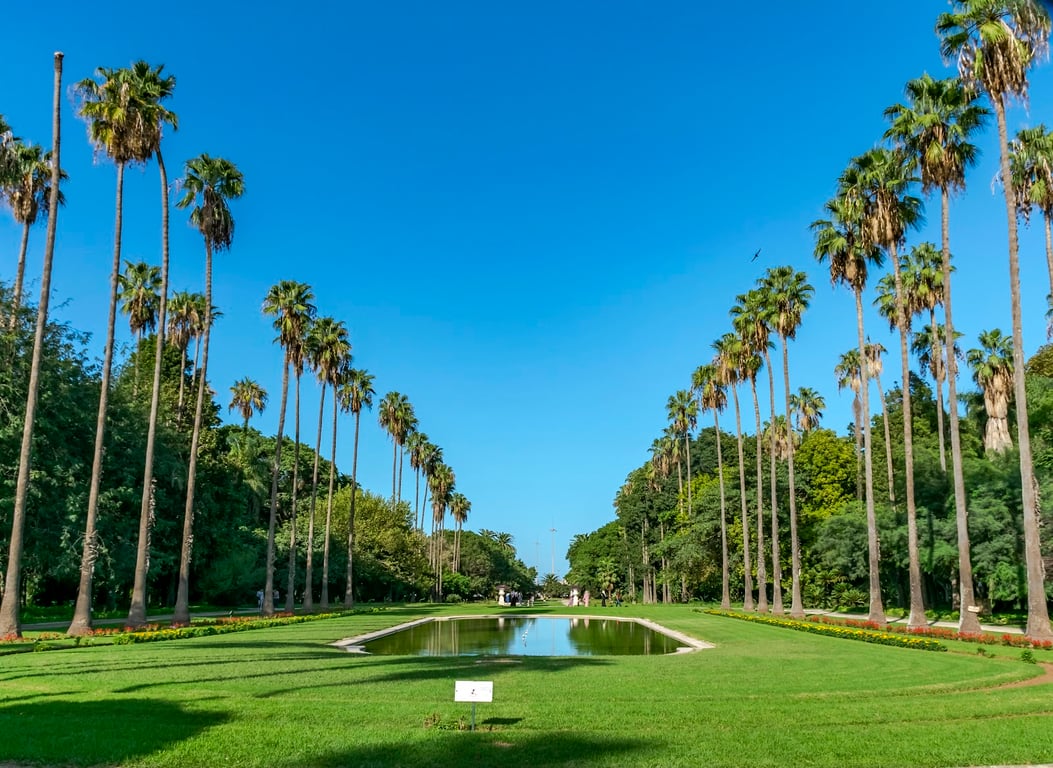 Jardin d’Essai du Hamma