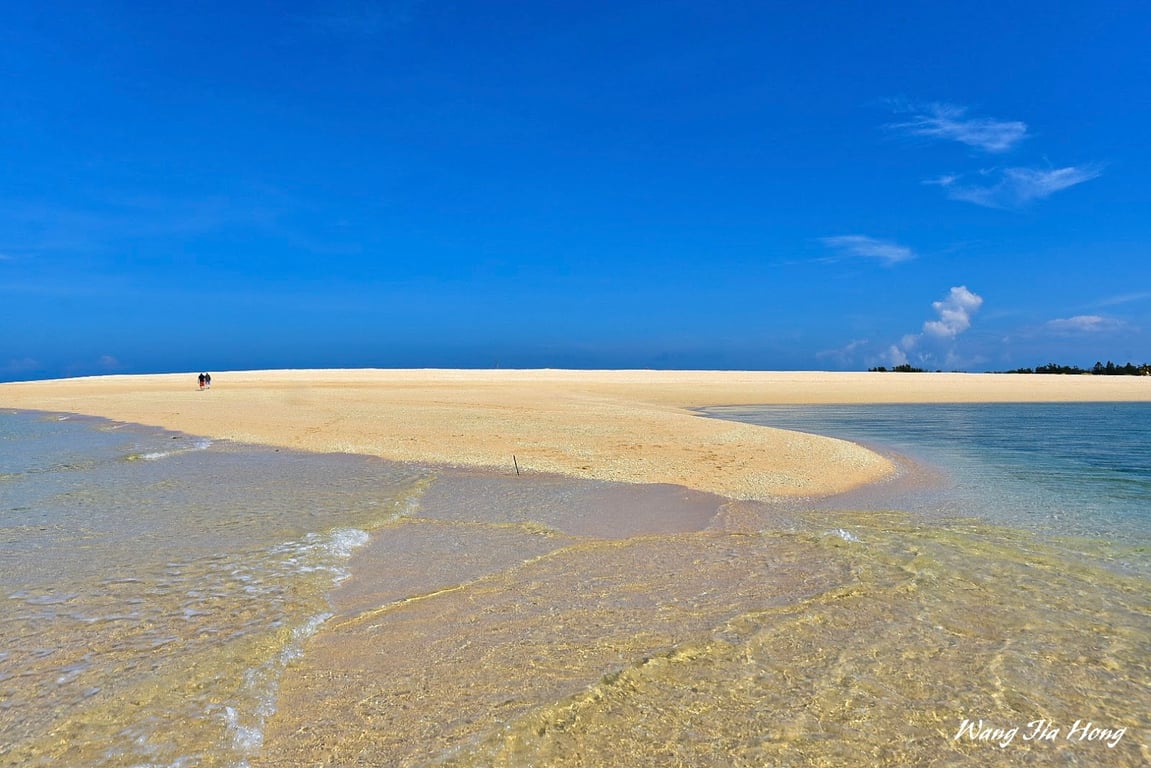 Jibei Sand-Tail