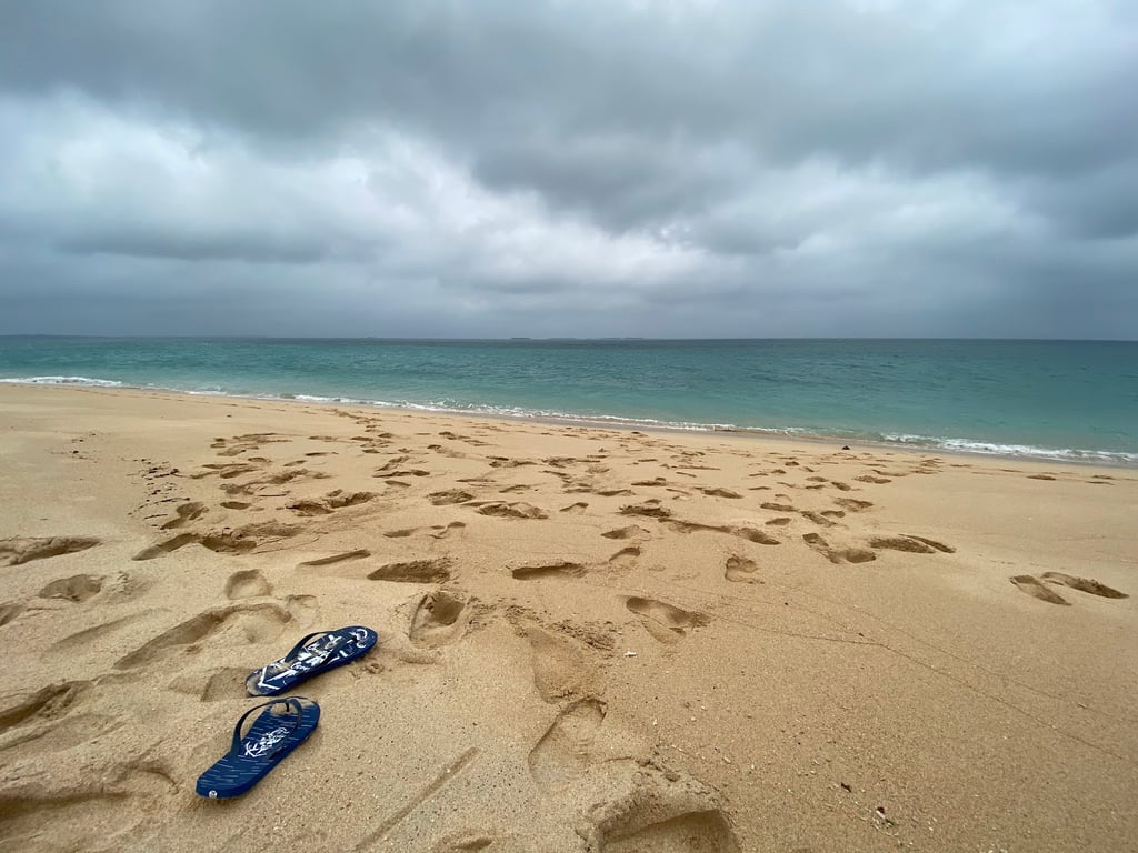 Jibei Sand-Tail