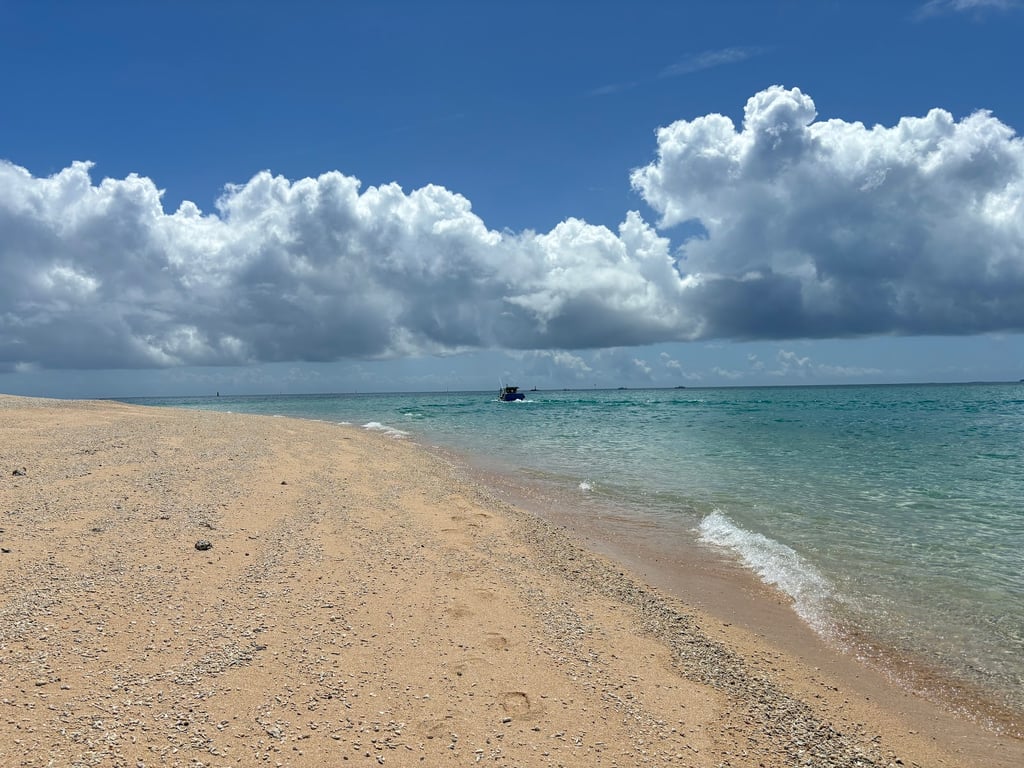Jibei Sand-Tail