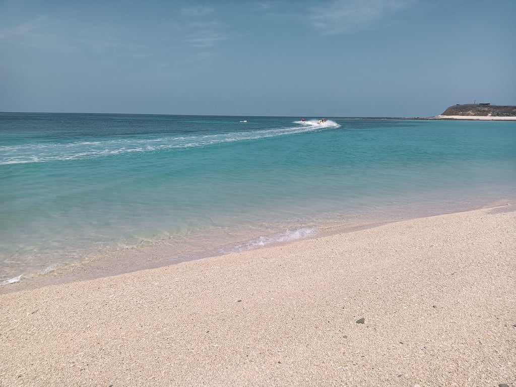 Jibei Sand-Tail