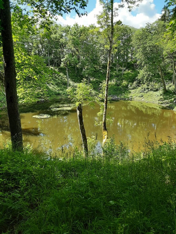 Kaali Crater