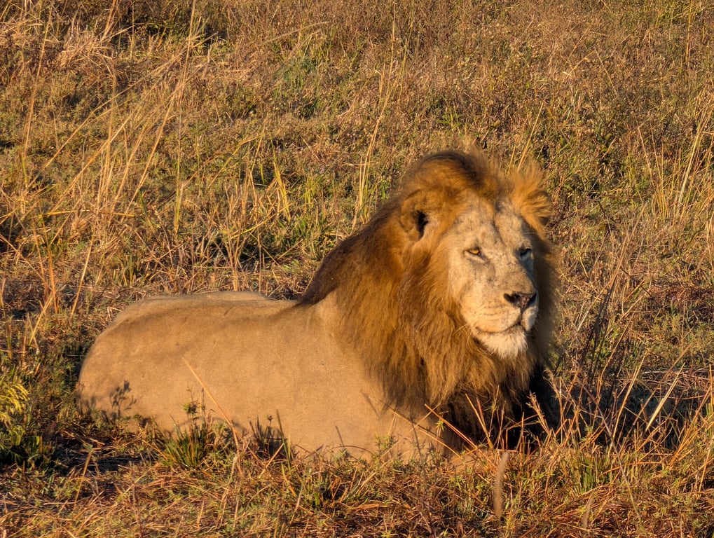 Kafue National Park