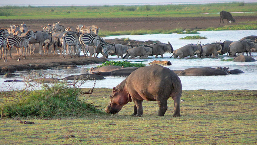 Kafue National Park