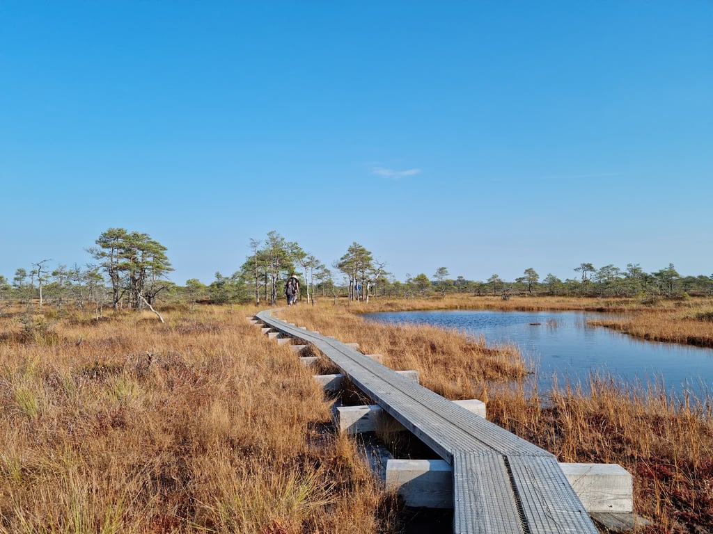 Kakerdaja Bog