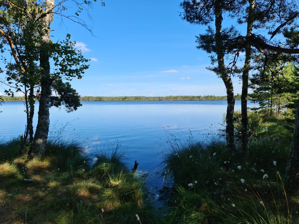 Kakerdaja Bog