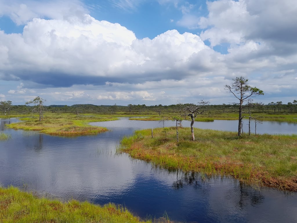 Kakerdaja Bog