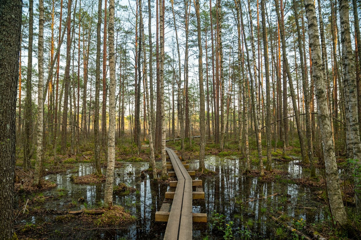 Kakerdaja Bog