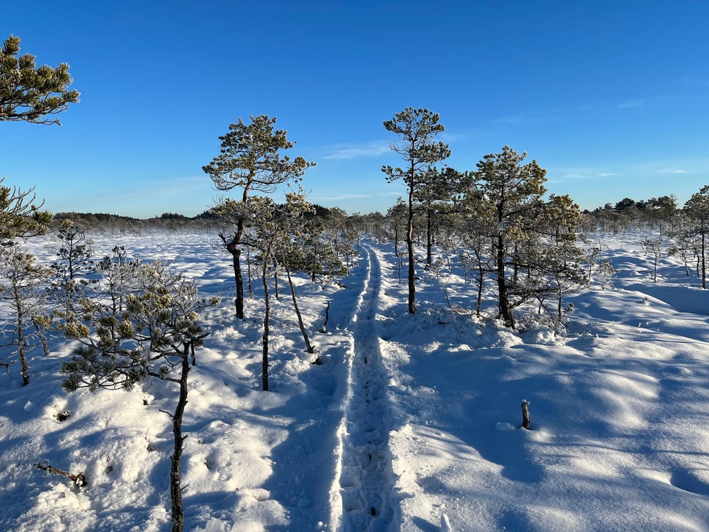 Kakerdaja Bog