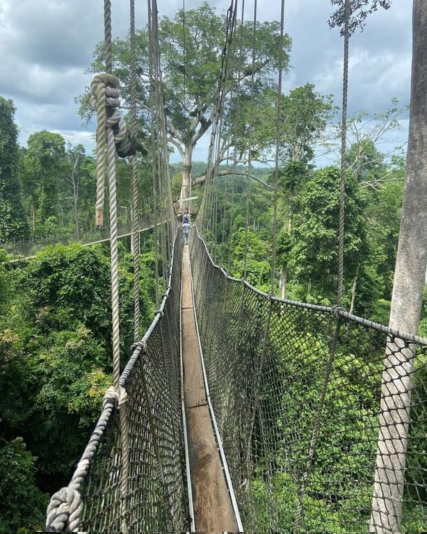 Kakum National Park