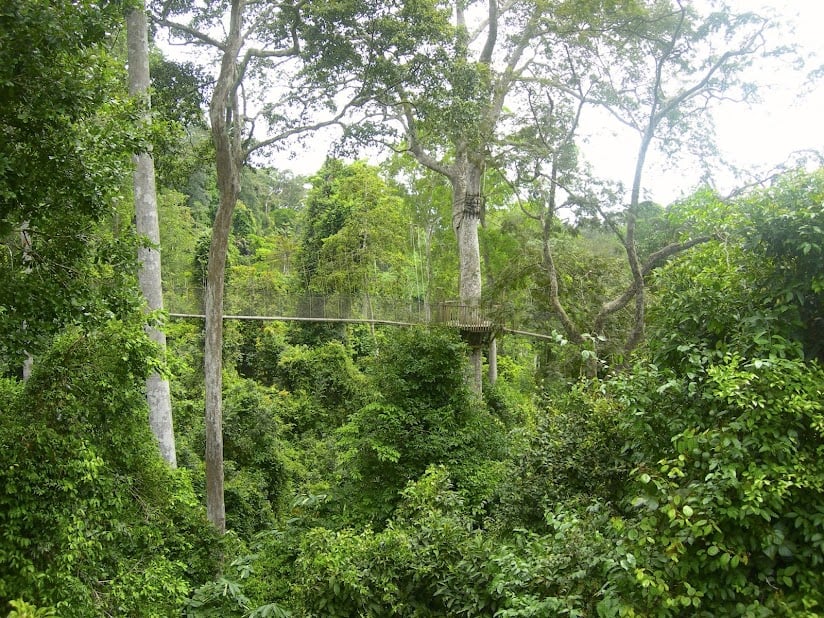 Kakum National Park