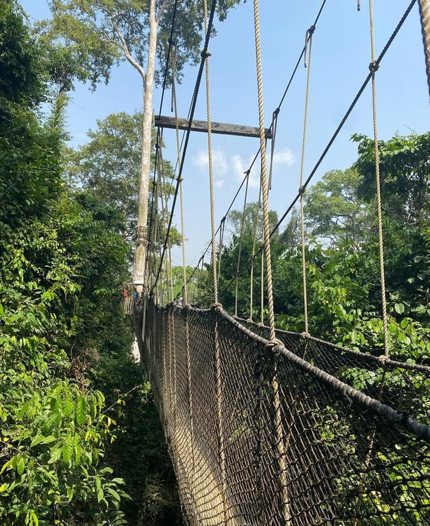 Kakum National Park