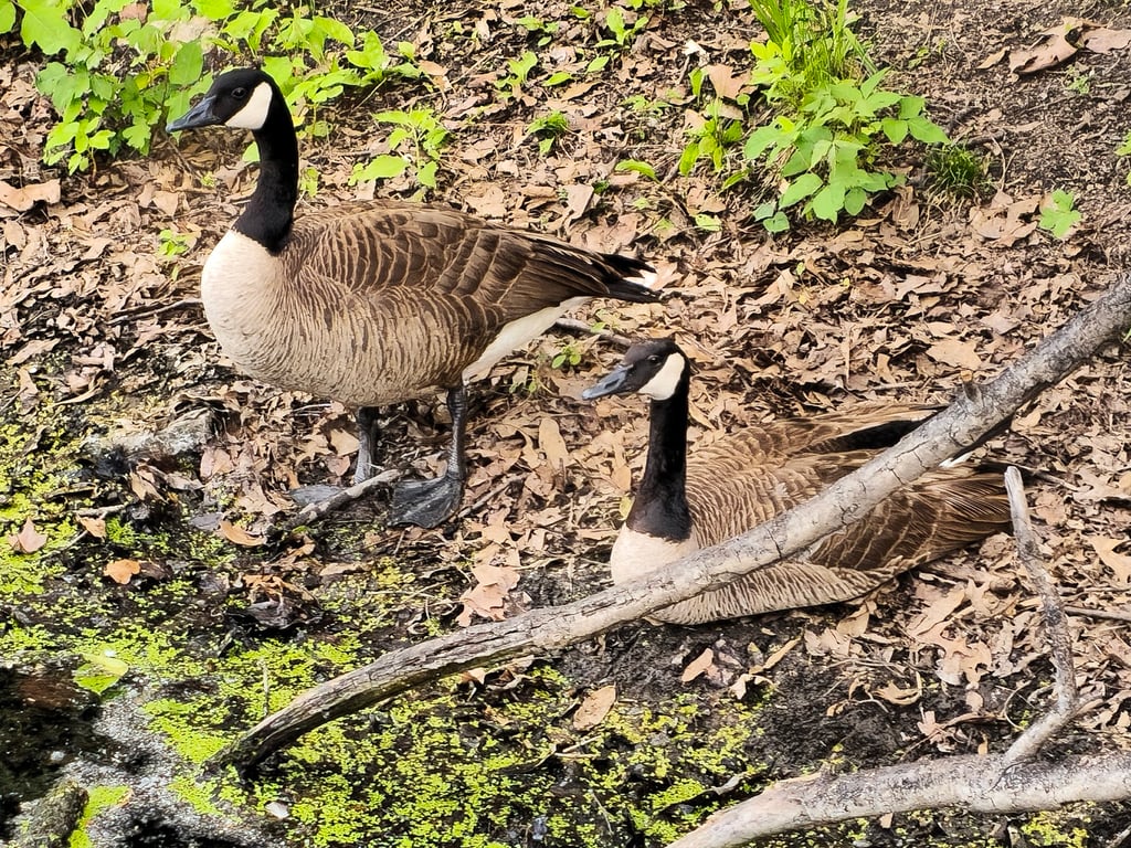 Antioch Park