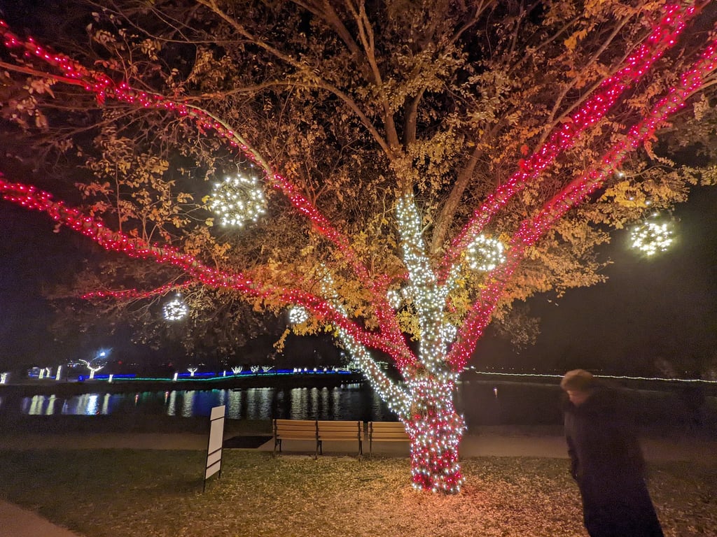 Arboretum & Botanical Gardens