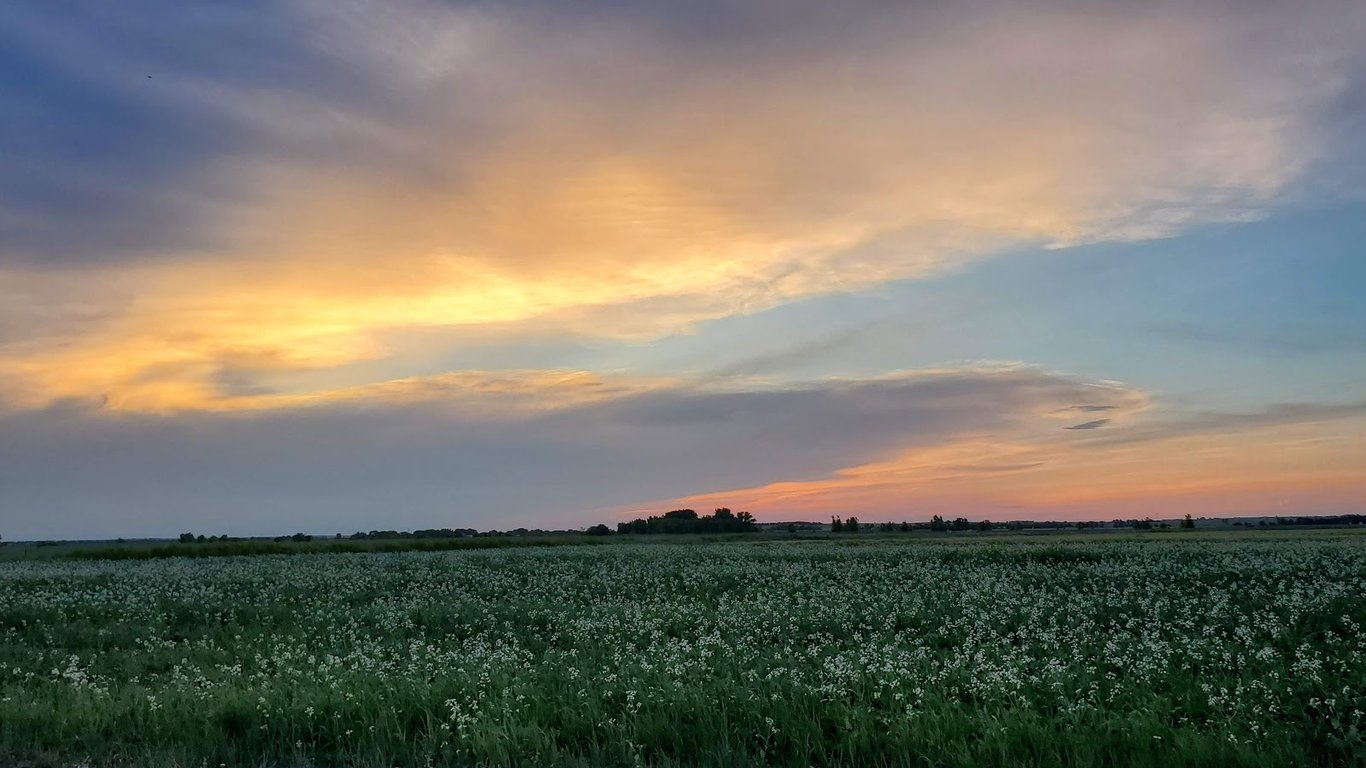 Cheyenne Bottoms Wildlife Area