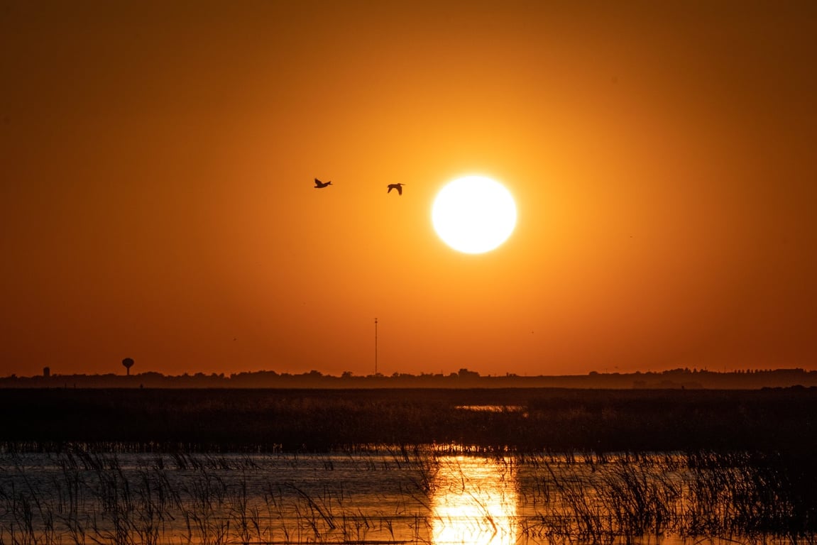 Cheyenne Bottoms Wildlife Area