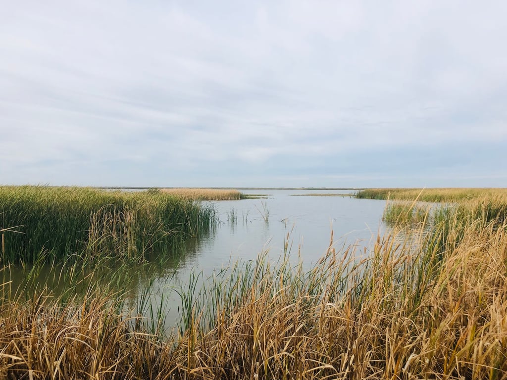 Cheyenne Bottoms Wildlife Area