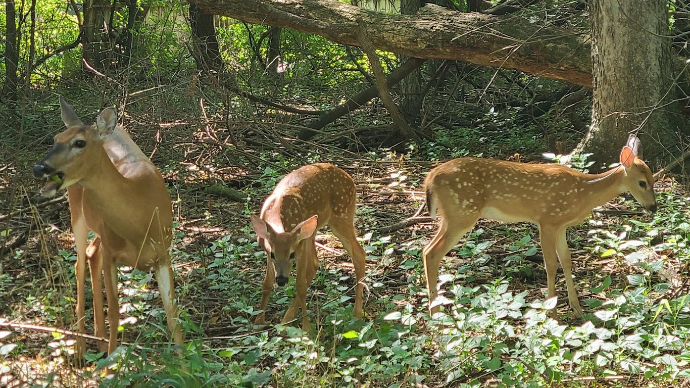 Ernie Miller Nature Center
