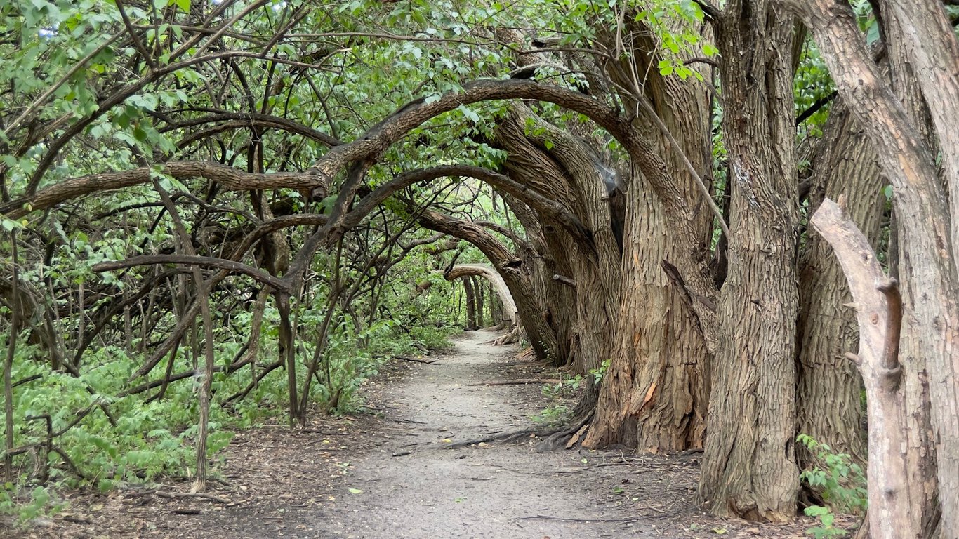 Great Plains Nature Center