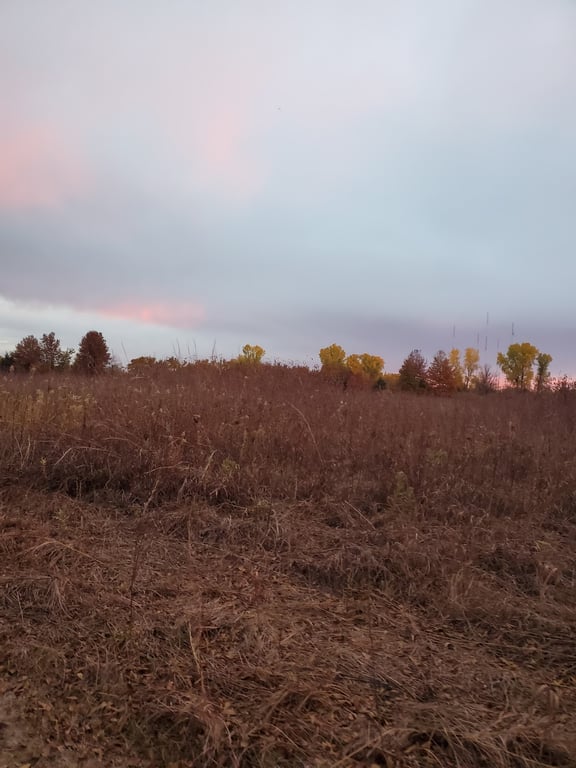 Great Plains Nature Center