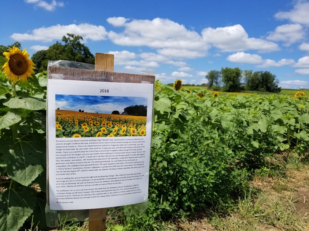 Grinter Sunflower Farm