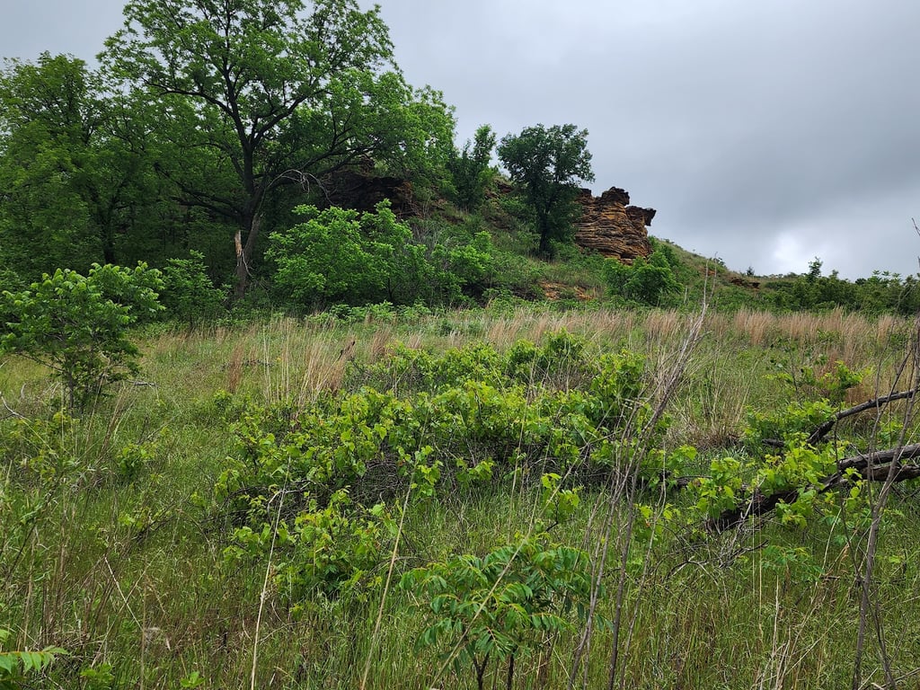 Kanopolis State Park
