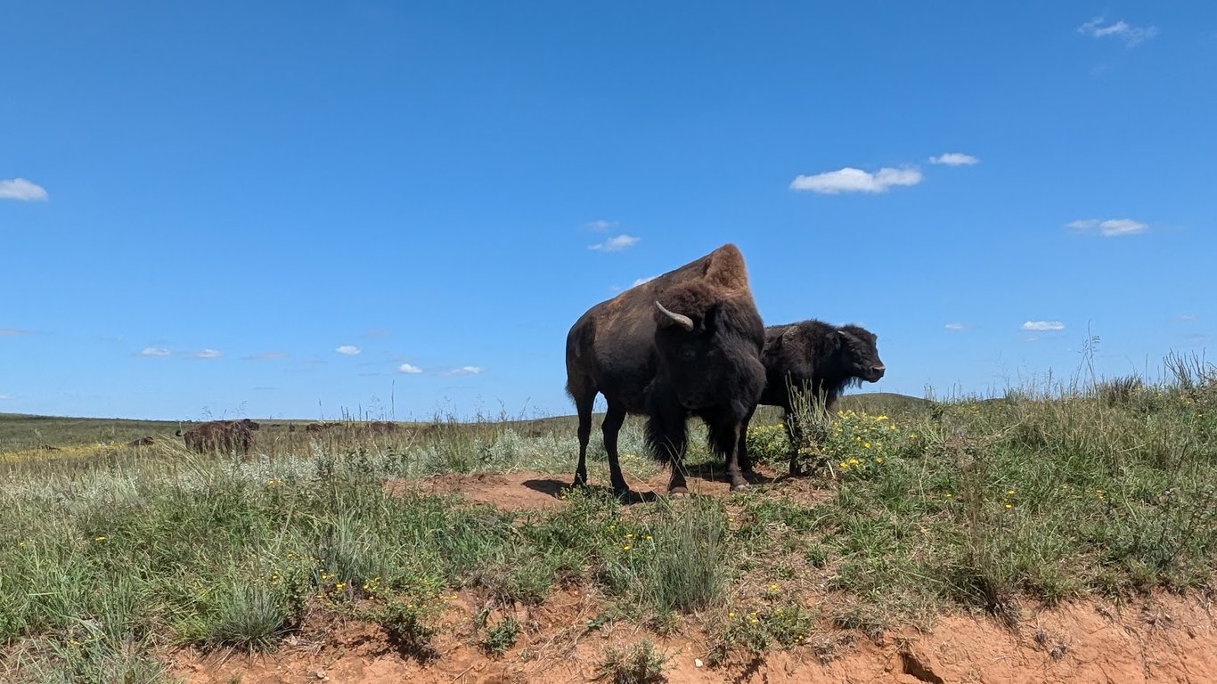 Maxwell Wildlife Refuge