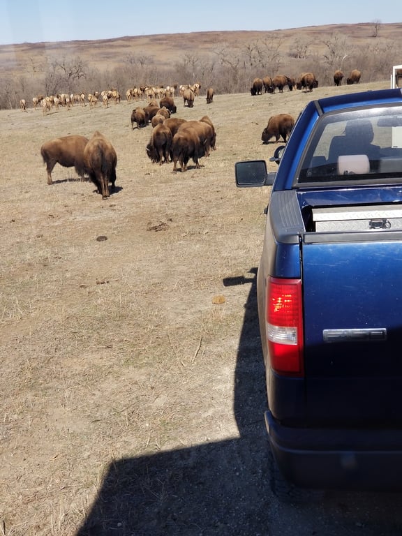 Maxwell Wildlife Refuge