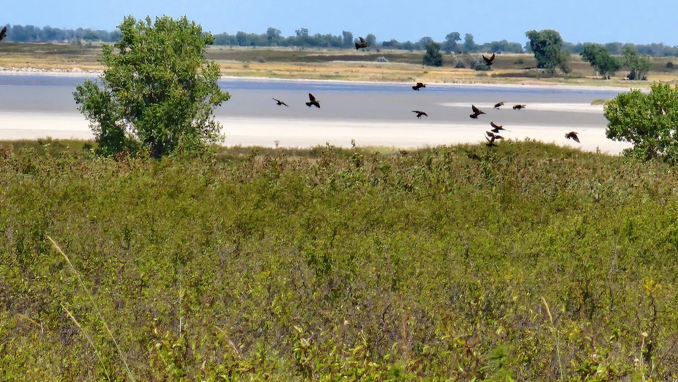 Quivira National Wildlife Refuge