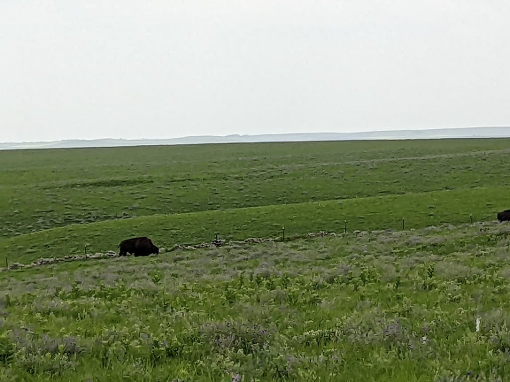Sand Prairie Natural Area