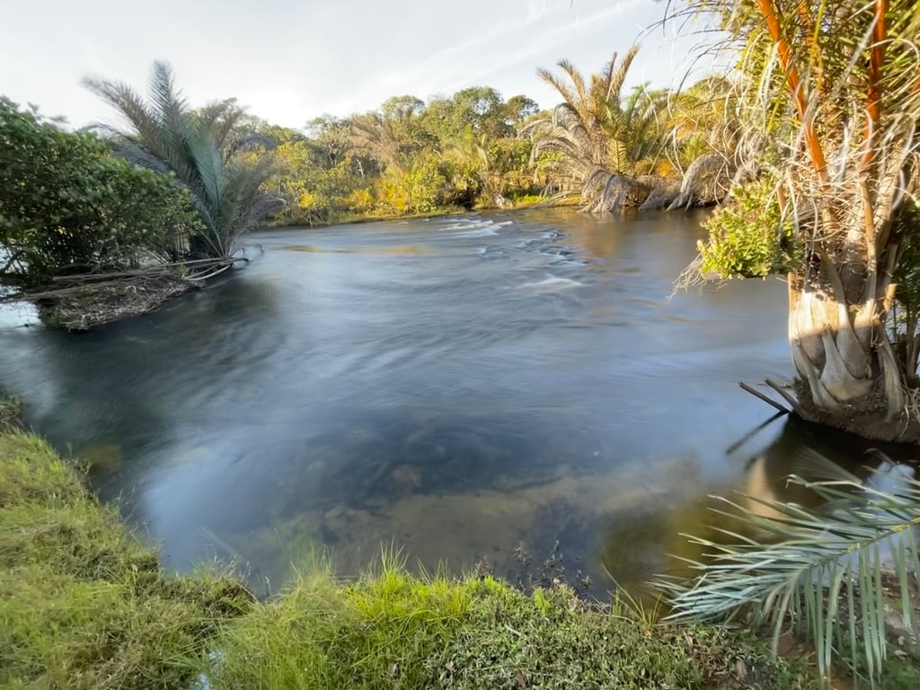 Kapishya Hot Springs